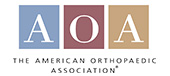 The American Orthopaedic Association